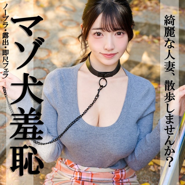 PAI-376 パッケージ画像